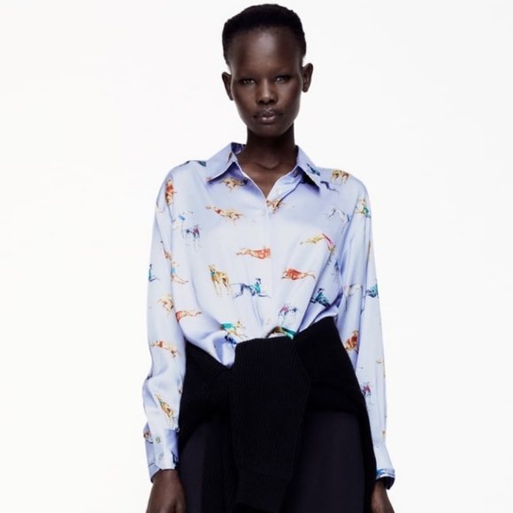 Zara greyhound shirt Clearance